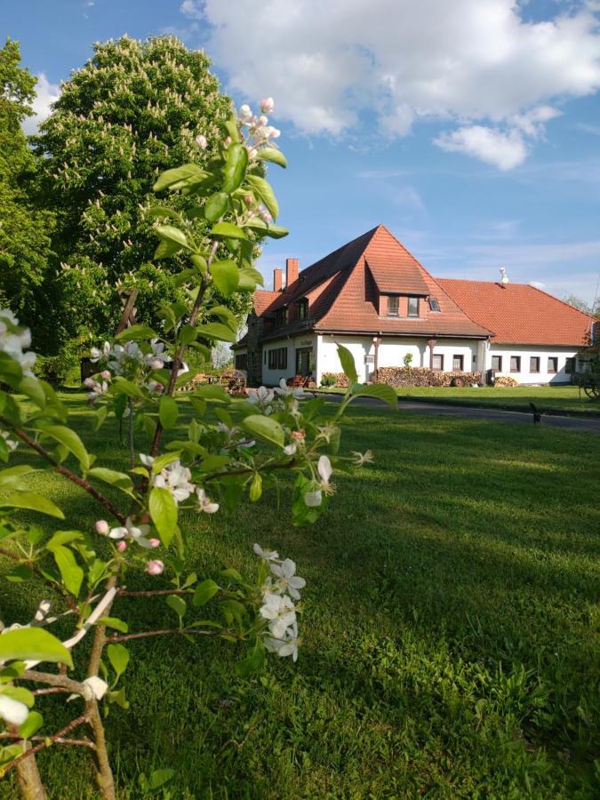 Haus Ringgau - Urlaub, Gemeinschaft Und Erlebnis Im Herzen Von Deutschland Herleshausen Ngoại thất bức ảnh
