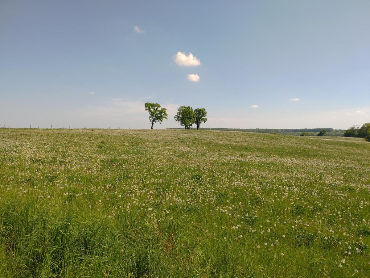 Haus Ringgau - Urlaub, Gemeinschaft Und Erlebnis Im Herzen Von Deutschland Herleshausen Ngoại thất bức ảnh